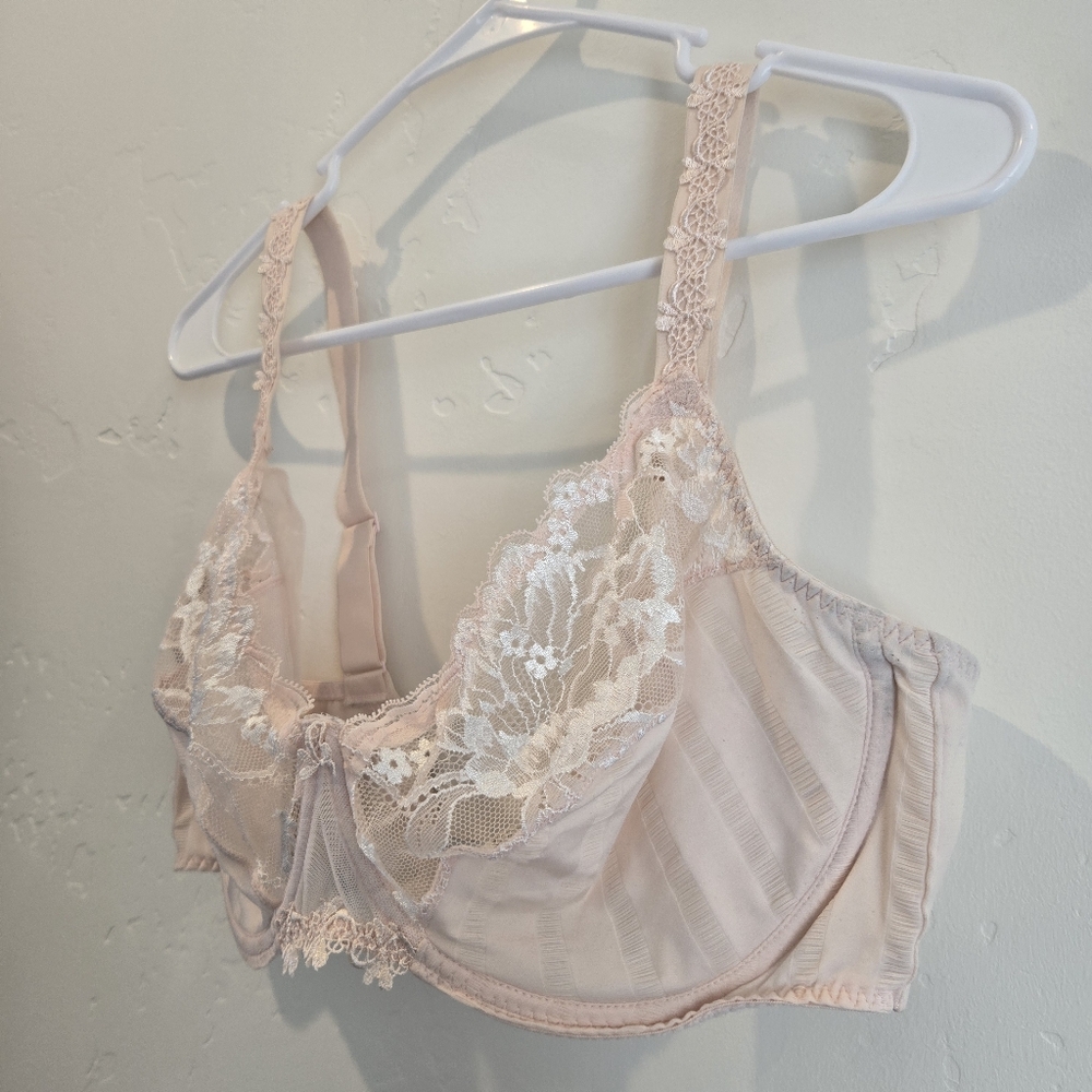 Pink Lace Bra - Picture 7 of 8